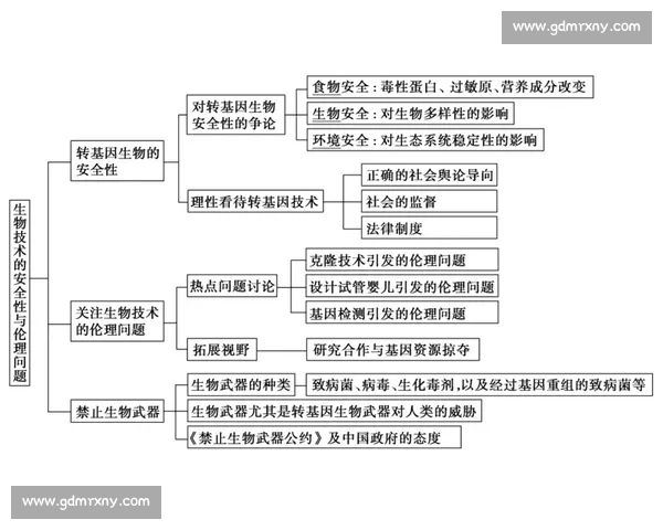 足球运动的魅力与发展：从技术创新到全球影响力的全面探索